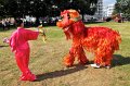 Tag_D_Kulturen   102